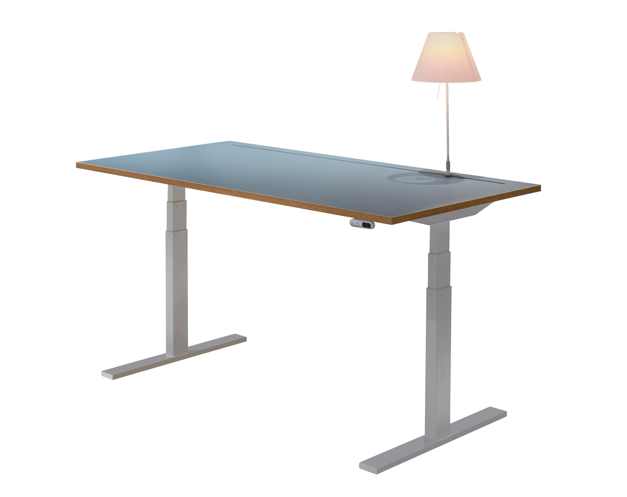 Height Adjustable Desk With Optimum Lightning Conditions Tine